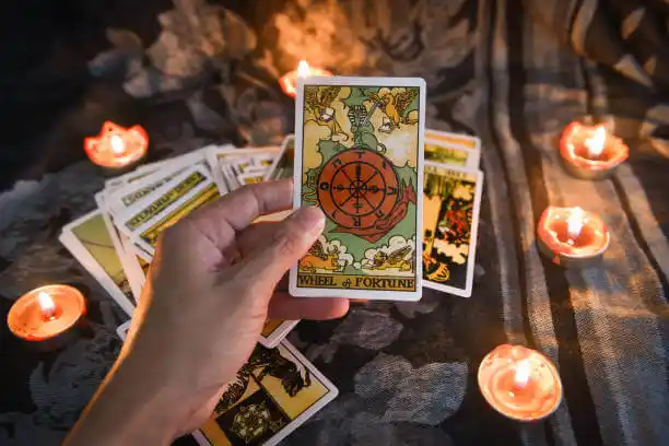 tarot cards Auburn